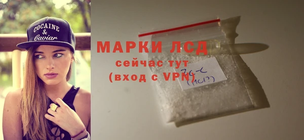 хмурый Аркадак