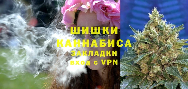 хмурый Аркадак
