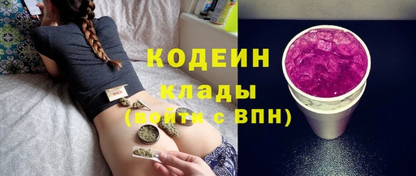 хмурый Аркадак