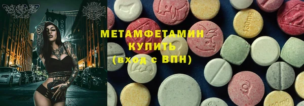 хмурый Аркадак