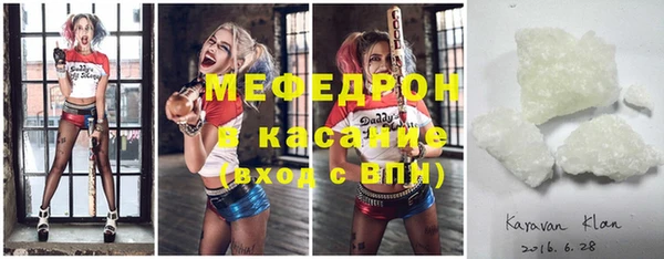 хмурый Аркадак