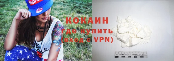 хмурый Аркадак