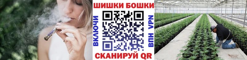 хочу наркоту Бабушкин Каннабис гибрид